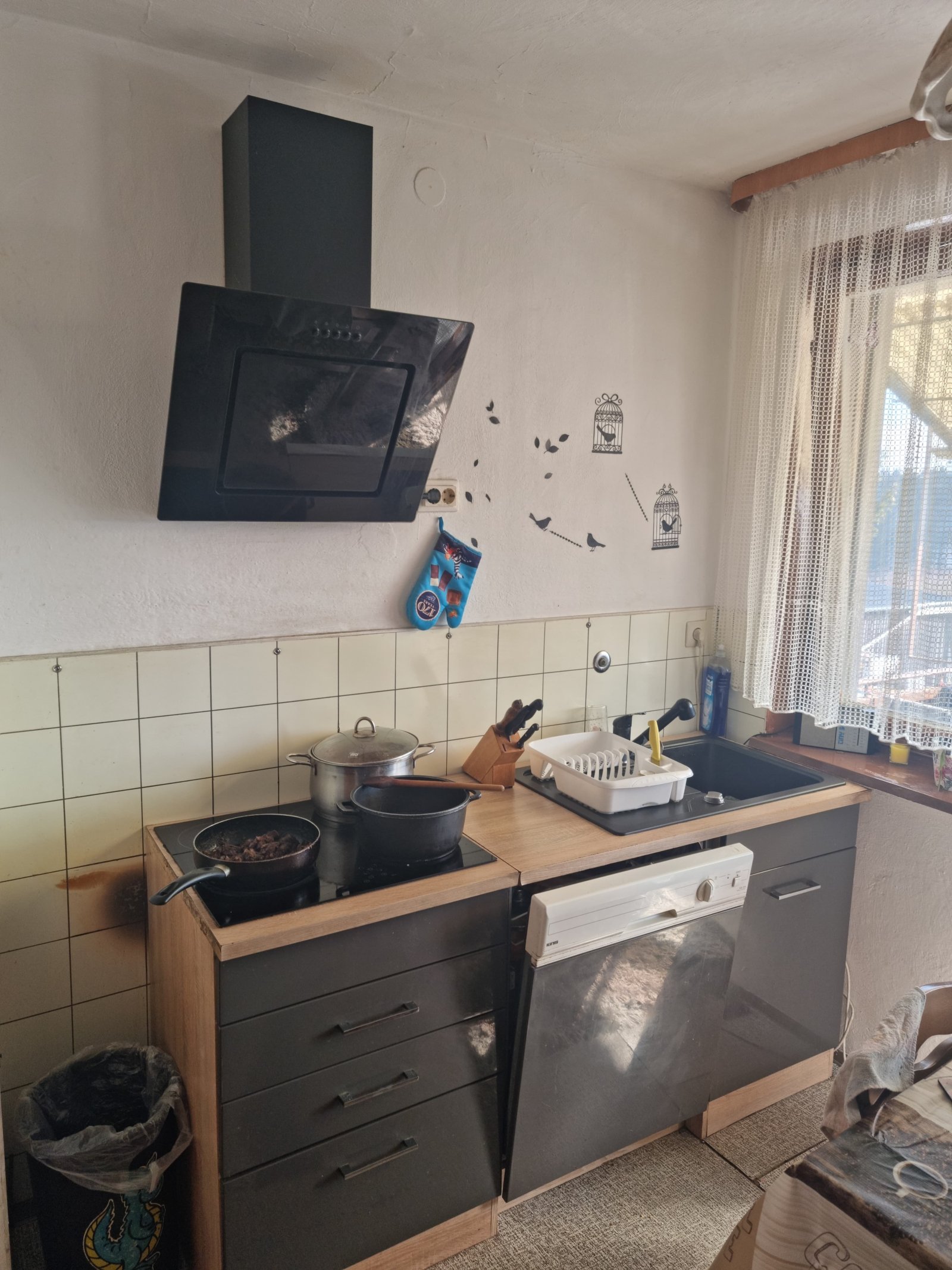 Foto der Immobilie (11403)