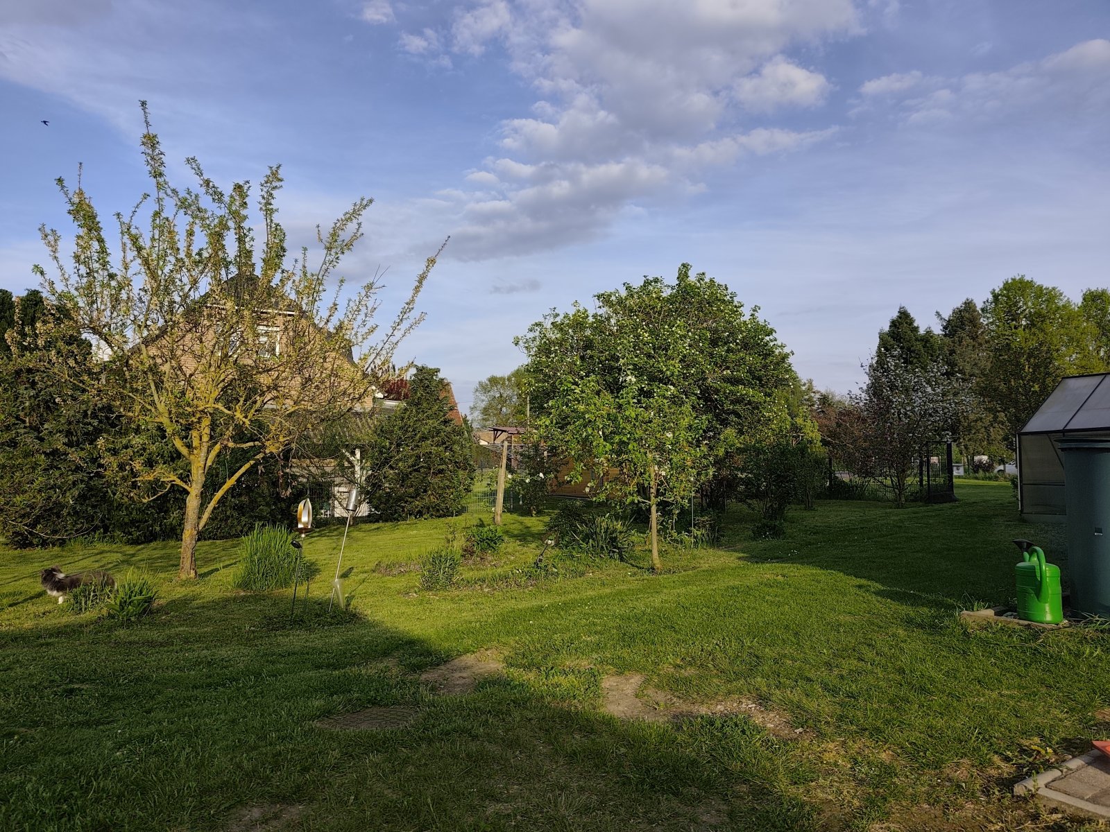 Foto der Immobilie (10882)