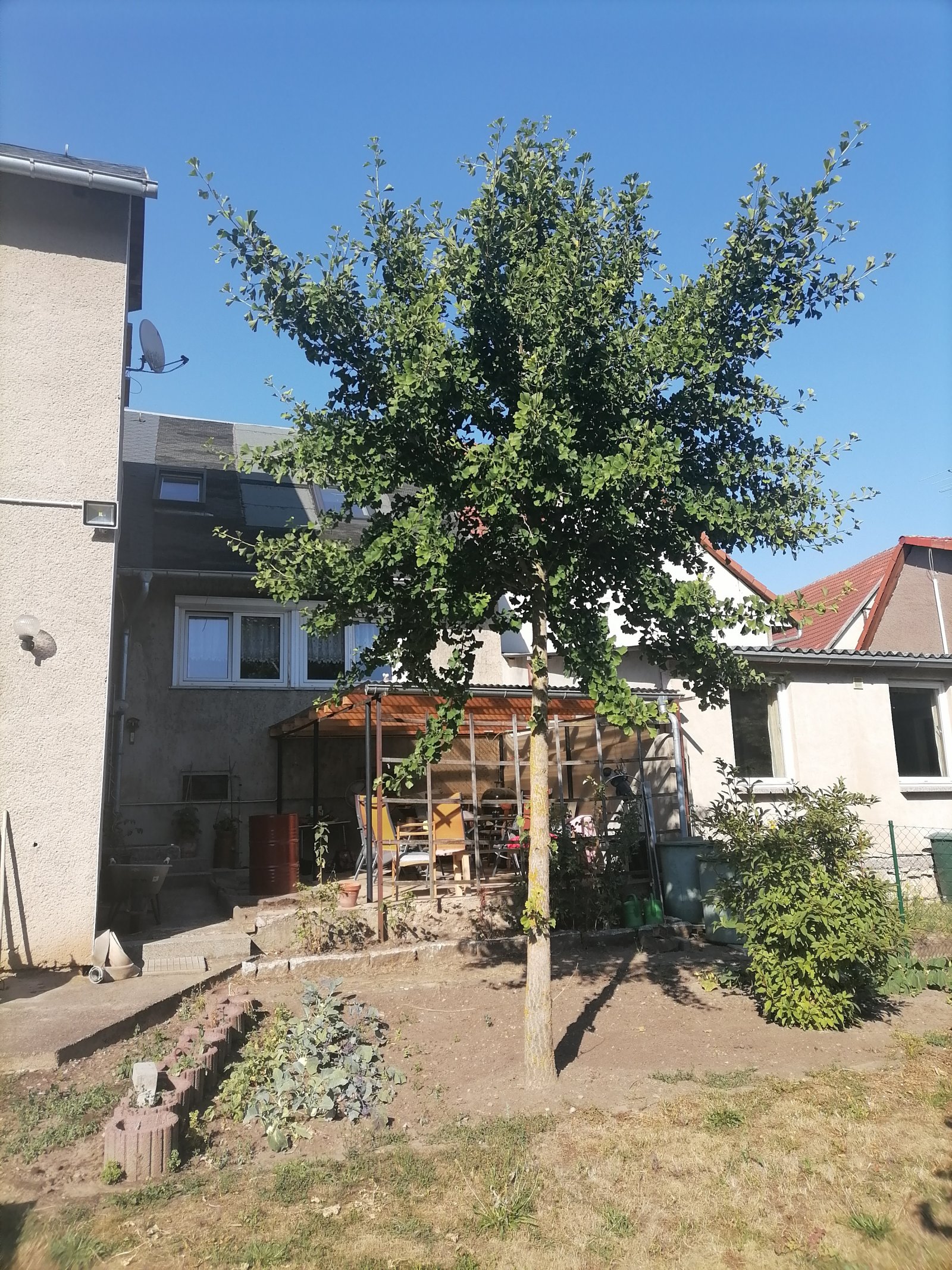 Foto der Immobilie (12131)