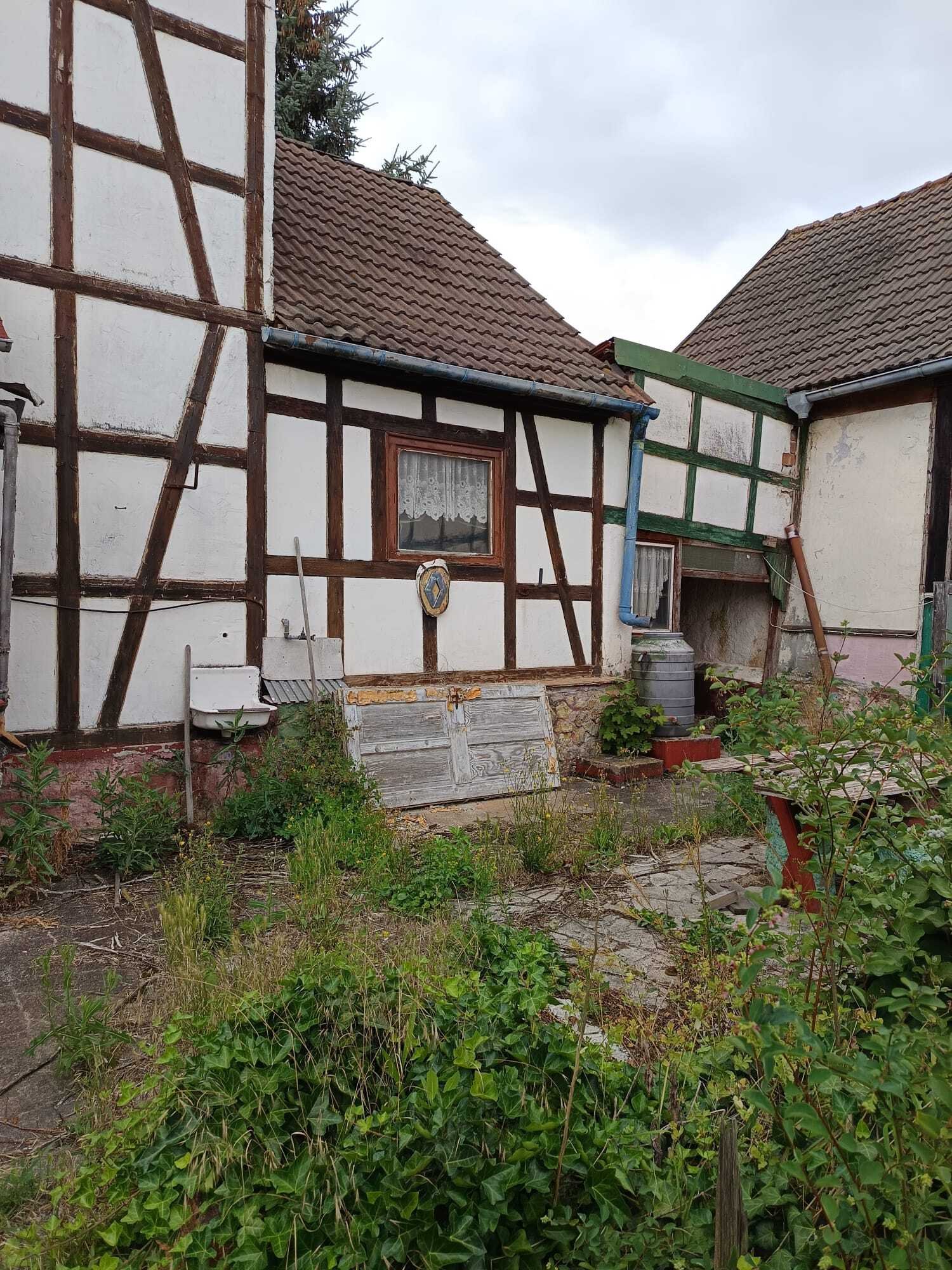 Foto der Immobilie (12746)