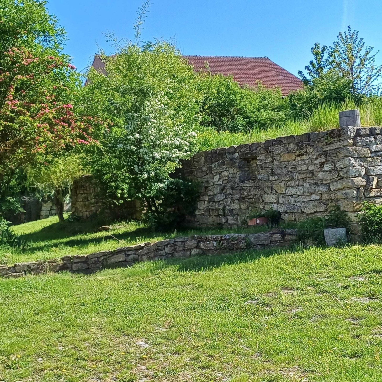 Foto der Immobilie (13966)