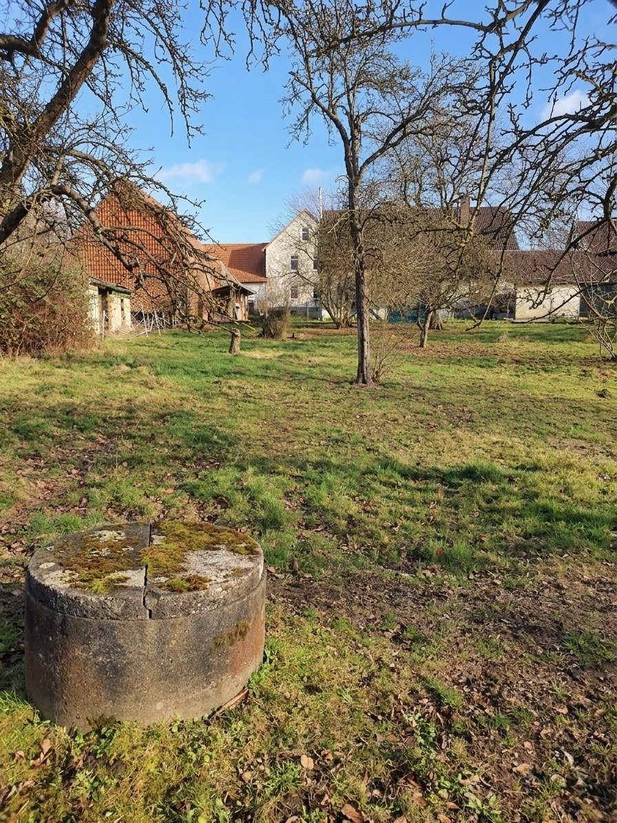 Foto der Immobilie (14319)